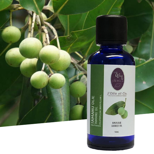 Tamanu Olie - 50ml