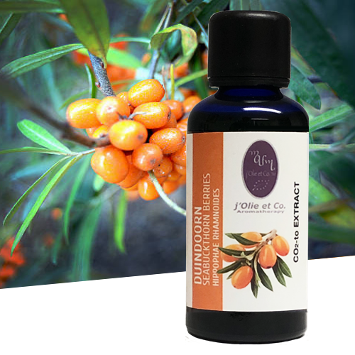 Neem Oil  j'Olie et Co Aromatherapy